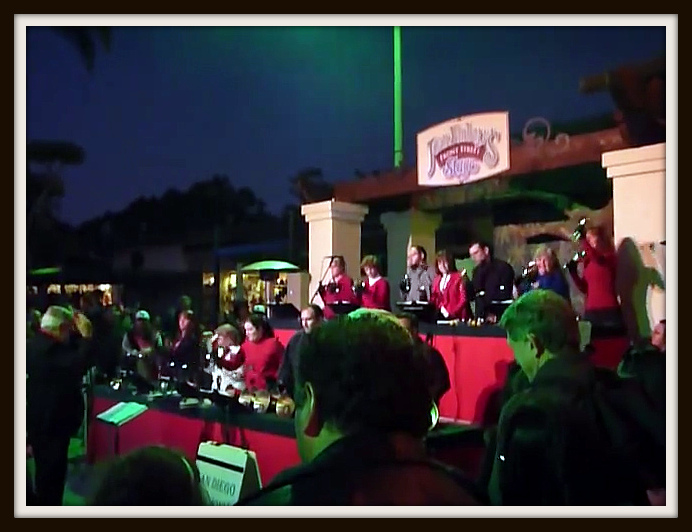 Jungle Bells 2011 SDHR