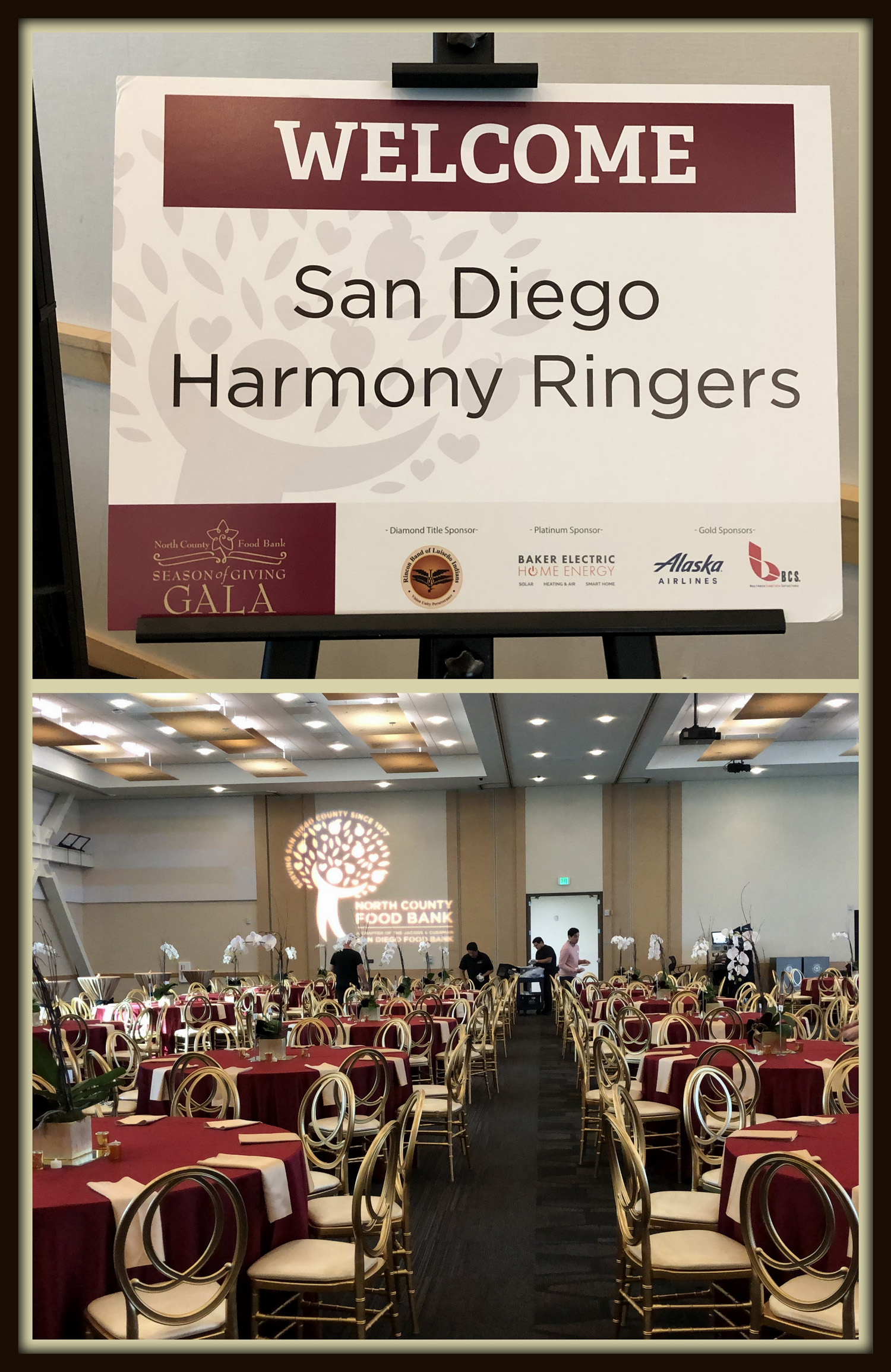 SDHR Collage 1 Resized