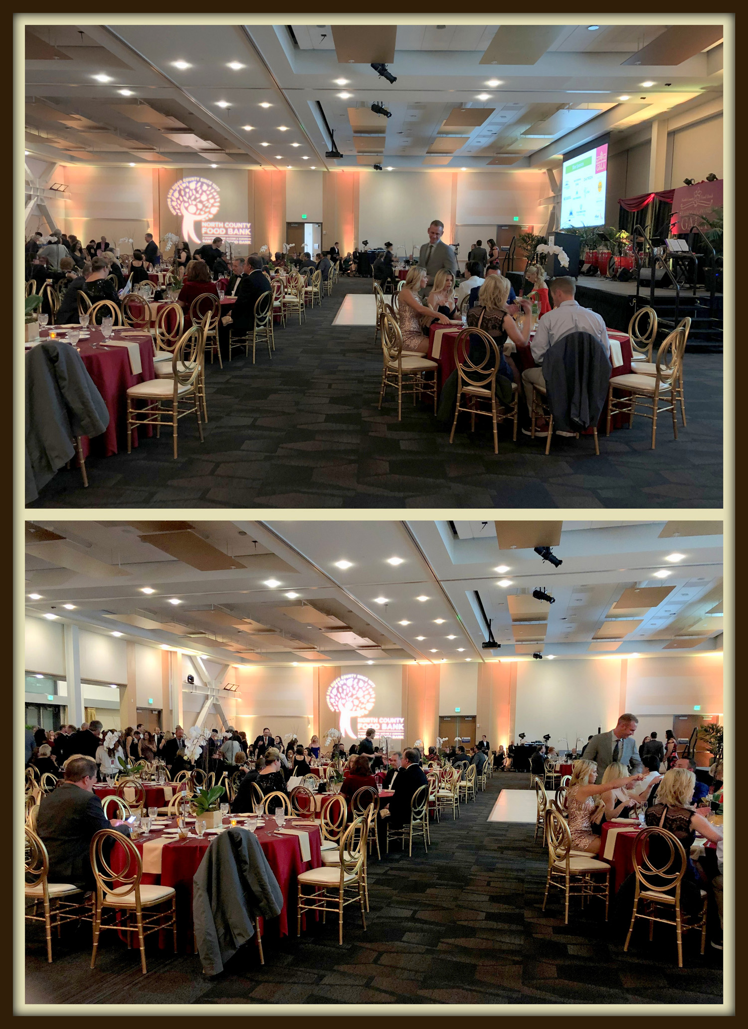 SDHR Collage 2 Resized